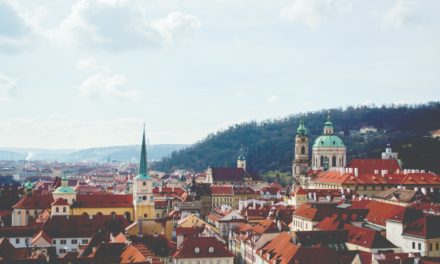 Agents help Czech universities increase the number of international students